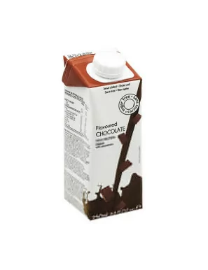 Protein-Getränk mit Schokoladengeschmack 250 ml